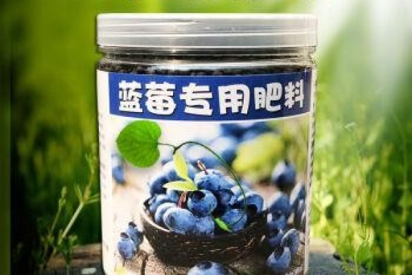 蓝莓的肥料是什么成分 蓝莓施肥全过程