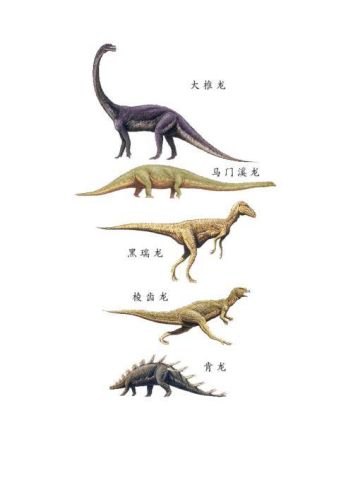 恐龙的品种有哪些叫什么名字？